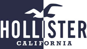 Hollister California 標誌，海鷗飛翔於海軍藍和白色分割背景之上。 — Hollister 壁紙