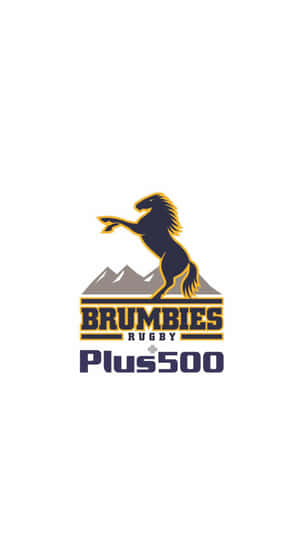 Brumbies Rugby 標誌，帶有揚起前蹄的馬匹和山脈背景。 — 野生動物 壁紙