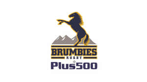 Brumbies Rugby 標誌，帶有揚起的馬和山脈背景。 — 高解析度馬匹 壁紙