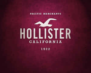 Hollister品牌標誌，帶有海鷗和文字，在酒紅色花卉背景上 — 5:4 壁紙