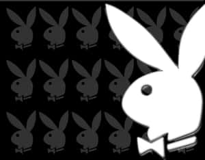 Playboy兔子標誌，黑色背景上重複灰色剪影。 — 花花公子 GIF 壁紙