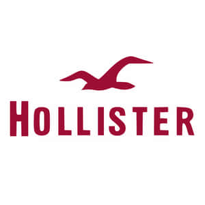 Hollister品牌標誌，帶有紅色海鷗和文字，背景為白色 — 1:1 壁紙