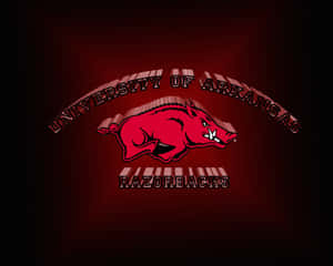 深色漸層背景上的紅色University of Arkansas Razorbacks運動標誌。 — 運動 壁紙
