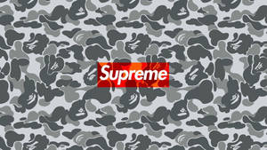 紅色Supreme標誌在灰色迷彩背景上，帶有猿頭圖案。 — 酷炫至尊 壁紙