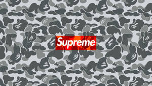 Supreme標誌在灰色迷彩背景上，帶有猿頭圖案 — Bape 動態 壁紙