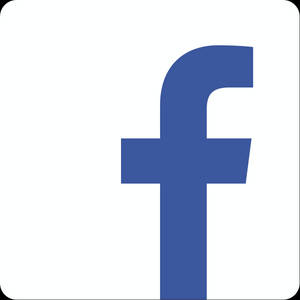 白色背景上的藍色Facebook標誌圖標 — Lexus 標誌 壁紙