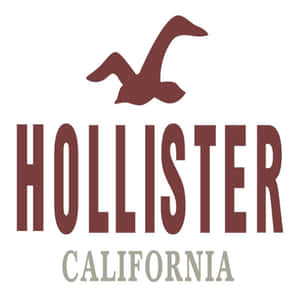 Hollister California標誌，帶有酒紅色飛鳥剪影和文字。 — iPad Pro M4 壁紙