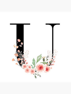 黑色字母U，以水彩風格裝飾粉紅色花朵和綠色葉子。 — 粉色花朵 壁紙