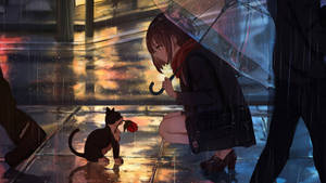 女孩與傘和貓在雨夜城市分享玫瑰。