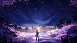 動漫戰士站在發光的田野上，星空下可見星座。 — 薩爾達 壁紙