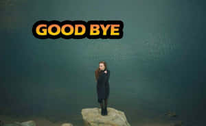 穿著黑色外套的女人站在水邊的岩石上，上方有「GOOD BYE」文字。 — 再見 壁紙