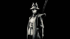 一個全副盔甲的武士戰士在黑色背景前手持長杖。 — 電玩遊戲 GIF 壁紙