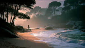 一個人在日出時獨自走在沙灘上，背景有海浪和松樹。 — 海灘 壁紙