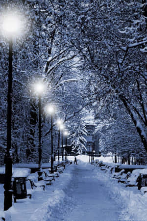 夜晚積雪的公園小徑，發光的街燈和孤獨的步行者。 — 聖誕節手機 壁紙