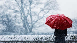 雪景中，光禿樹木和石牆背景下，手持紅色雨傘的人。 — 寒冷 壁紙