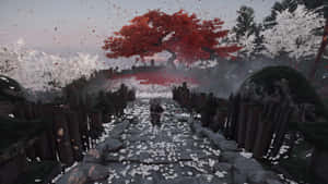 一個人在霧中沿著石徑走過一棵紅樹，白色花瓣飄落。 — 對馬戰鬼 壁紙