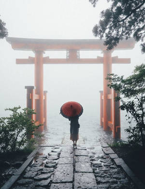 撐著紅傘的人沿著石徑走向霧氣瀰漫的鳥居。 — 鳥居 壁紙