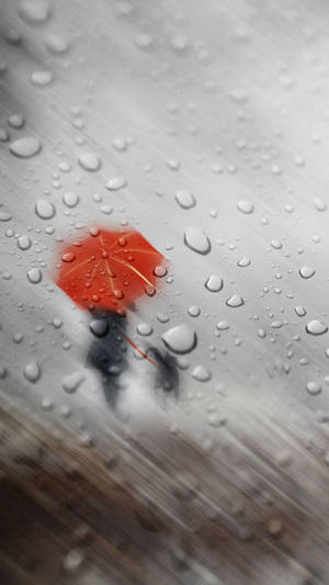 人撐紅傘雨中行走，透過濕窗觀看。 — 貓咪 壁紙