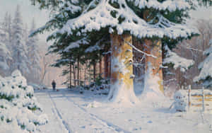 人在積雪松樹下的雪森林小徑上行走 — 冬季風景 壁紙