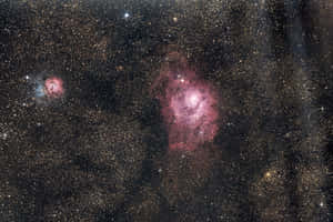 在深空中，無數金色星星之間閃耀著鮮豔的粉紅色和藍色星雲。 — 粉紅色美學桌面 壁紙