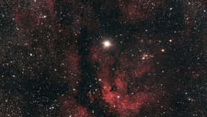 深空中鮮豔的紅色星雲和恆星，中央有一顆明亮的恆星。 — 星空動畫 壁紙