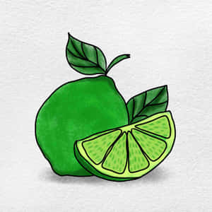 一個完整萊姆和一個切片萊姆連葉子，背景是有紋理的白色。 — iPad 第9代 壁紙