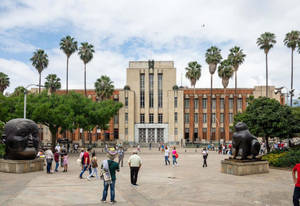 大學廣場，種有棕櫚樹和大型雕塑，天空多雲。