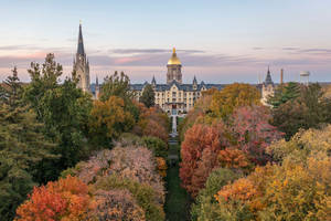 秋季校園，擁有歷史建築和日落時分色彩繽紛的樹木。 — 樹木 壁紙