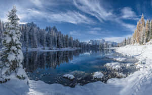 白雪覆蓋的松樹和山脈倒映在平靜的冬日湖泊中，天空湛藍清澈。 — 冬季風景 壁紙