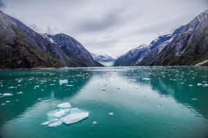 碧綠色的冰川峽灣，有浮冰和雪山 — 冬季風景 壁紙