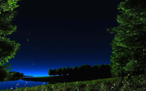 夜空中有星星和新月，湖面被樹木和蒲公英環繞。 — 冬季風景 壁紙