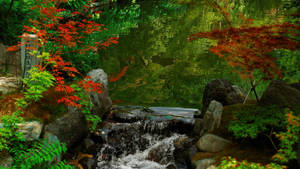 瀑布流經一個茂盛的花園，園內有紅色和綠色的楓樹以及長滿青苔的石頭。 — 日式海浪 壁紙