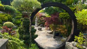 透過彎曲的木拱門看到的寧靜日本花園。 — 花園 壁紙