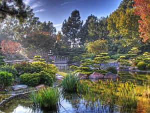 一個寧靜的日本花園池塘，有秋葉和石橋。 — 花園 壁紙
