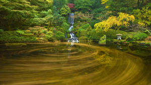 一個寧靜的日本花園，有瀑布和漩渦池塘，周圍環繞著秋天的樹木。 — 日式 壁紙