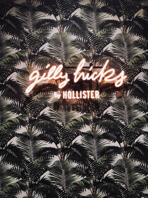 棕櫚葉壁紙上寫著 gilly hicks by hollister 的霓虹燈牌。 — 3:4 壁紙