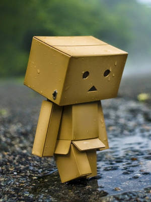 一個小小的黃色紙板公仔站在雨中濕漉漉的人行道上。 — 孤獨 壁紙