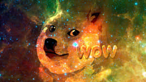 太空中的 Doge 面孔，'WOW' 文字在恆星和星雲雲層中發光。 — 獸人 壁紙