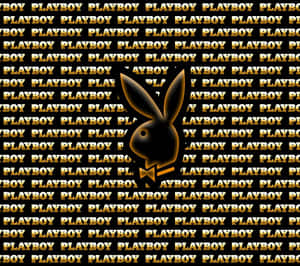 Playboy兔子標誌在金色文字背景上 — 花花公子 GIF 壁紙