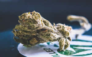 一個詳細的大麻花蕾，帶有霜狀毛狀體，在有品牌的紙上。 — 大麻 壁紙