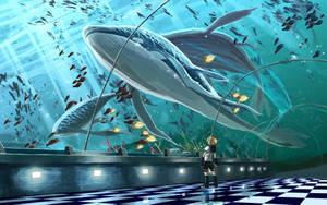 女孩觀看鯨魚在一個有彩色魚群的大型水族館中游泳。 — 水族箱 壁紙