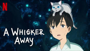 夜晚發光的森林中，頭上頂著白貓的動漫男孩。 — 一個 壁紙