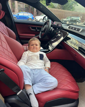一個幼兒坐在豪華車輛內的紅色皮革汽車座椅上。 — 酷 壁紙