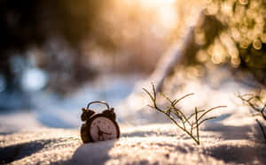 雪中的復古鬧鐘，金色陽光穿過樹木 — 海灘 壁紙