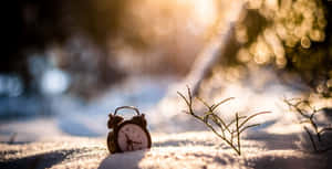 雪中的復古鬧鐘，金色陽光與模糊樹枝。 — 時鐘 壁紙