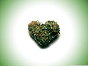 心形大麻花蕾，綠色葉子，橙色雌蕊，漸變背景 — 大麻 壁紙