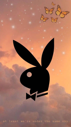 黑色兔剪影戴蝴蝶結，在帶星星和蝴蝶的蜜桃色天空上 — 花花公子 GIF 壁紙