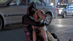 戴面具的人在夜晚的城市街道上抱著黃金獵犬。 — 凱特·畢夏普 壁紙