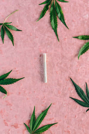 一個捲好的大麻煙捲，周圍環繞著綠色葉子，背景為有紋理的粉紅色。 — 小米平板 9 Pro Max 壁紙