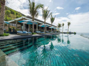 豪華無邊際泳池，可欣賞海洋、棕櫚樹和躺椅，在藍天下。 — 假期 壁紙